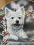Колекционерска чиния от серия “ Westies “, снимка 2