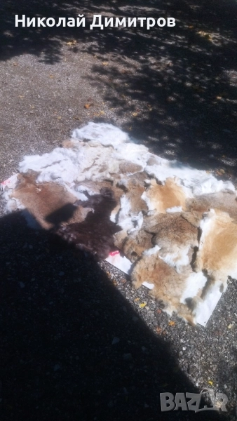 Заешки кожи обработени в кожарска за фабрика Велур . При покупка над 5 кожи безплатна доставка., снимка 1