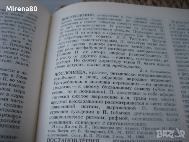 Литературньий енциклопедичесский словарь - 1987 г. , снимка 6 - Чуждоезиково обучение, речници - 53977738