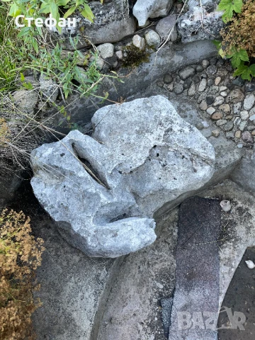 Камъни за алпинеум, снимка 3 - Градински мебели, декорация  - 51324424