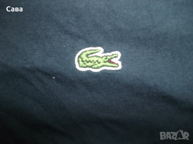 Тениски LACOSTE  мъжки,ХЛ-2ХЛ, снимка 4 - Тениски - 51597327