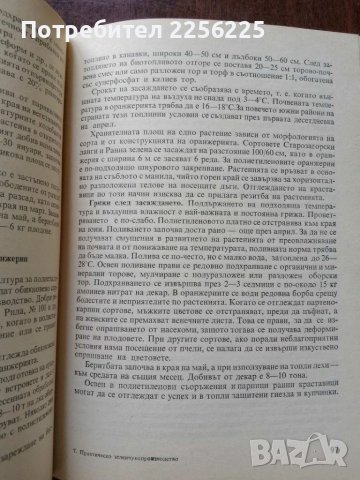 Практическо зеленчуко - производство, снимка 7 - Специализирана литература - 50611806