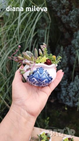 Гърнета аранжирани със сукуленти!, снимка 3 - Декорация за дома - 52496408
