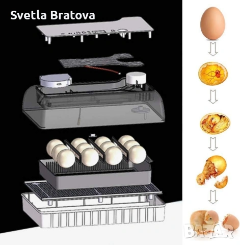 Автоматичен инкубатор за 12 яйца – Лесен за употреба YZ9-12, снимка 5 - Други - 53479786