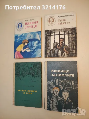 Училище за смелите - Емил Коралов