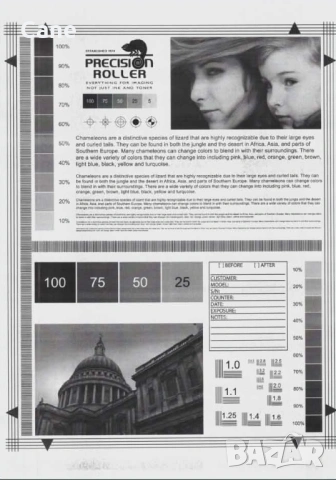 Brother MFC-L2712DW – Принтер, Скенер, Копир, Факс (Wi-Fi), снимка 10 - Принтери, копири, скенери - 53857768