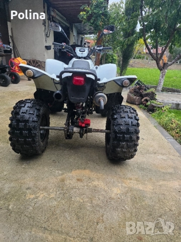 2 ATV Herkules Adly , снимка 6 - Мотоциклети и мототехника - 52031774