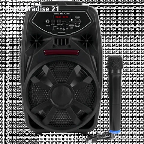 Преносим Bluetooth високоговорител с вход за микрофон PK-09(L), снимка 4 - Bluetooth тонколони - 48460626