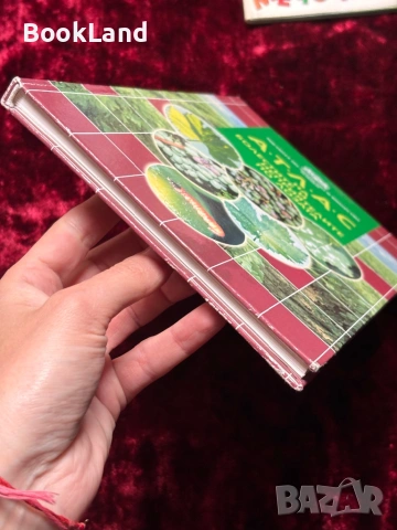 Атлас на болестите и неприятелите по лозата, снимка 5 - Други - 53863258