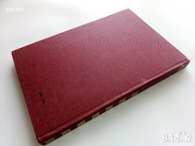 Капитанската дъщеря - Александър Пушкин - 1983г., снимка 5 - Художествена литература - 52904474
