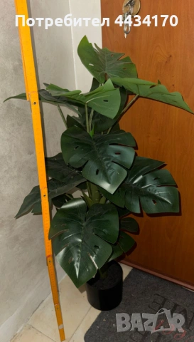 Спешно! Изкуствено растение Монстера / декоративно дърво – налични 2 броя, снимка 3 - Изкуствени цветя - 53302033
