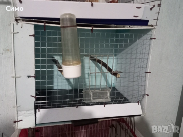 клетки да птици