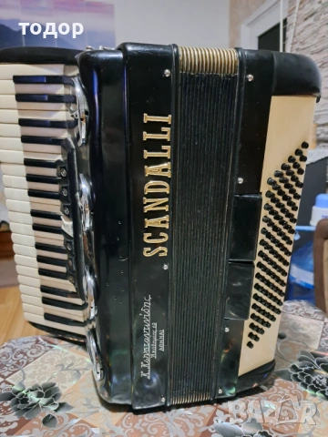 Скандали 96 баса , снимка 2 - Акордеони - 53726704