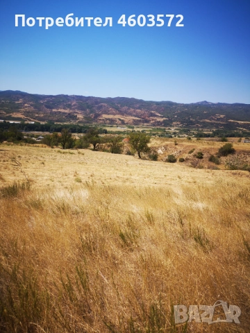 Собственик продава 3 броя парцели, снимка 3 - Парцели - 51817495