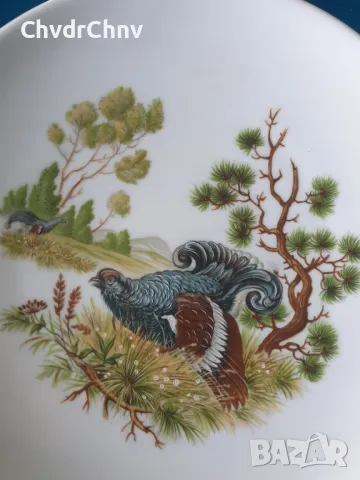 6бр Pordeco Бавария немска колекционерска декоративна порцеланова чиния-картина/диви птици, снимка 2 - Картини - 49114972