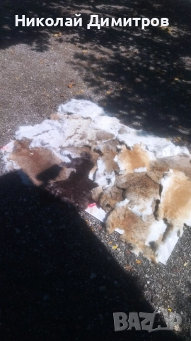 Заешки кожи обработени в кожарска за фабрика Велур . При покупка над 5 кожи безплатна доставка.