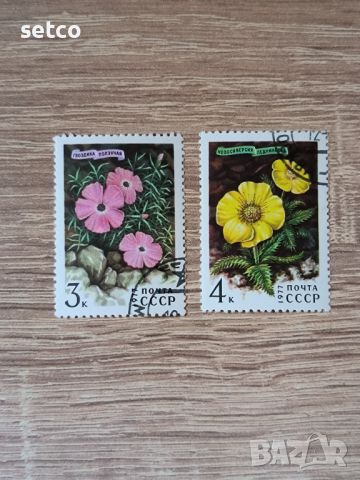 СССР Флора цветя 1977 г., снимка 1 - Филателия - 46295427