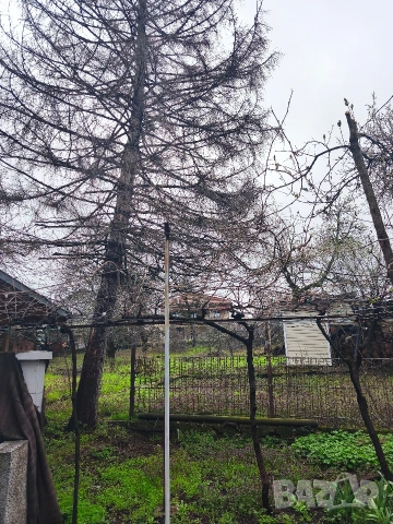 Почистване на терени / Косене на тревни площи