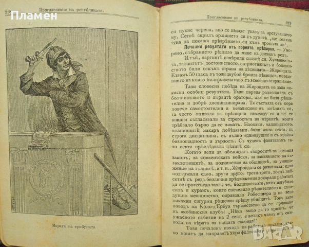 История на Френската революция Никола Станевъ /1900/, снимка 5 - Антикварни и старинни предмети - 53915547