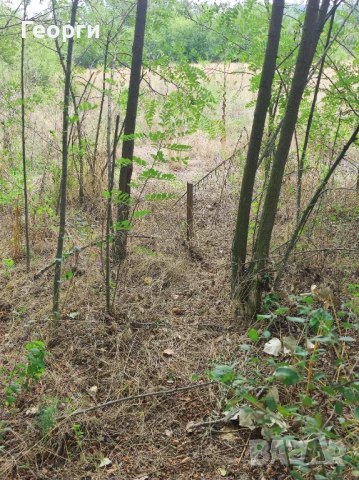 Парцел на река Тунджа , снимка 4 - Парцели - 50522297