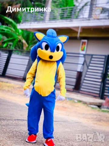 Костюм - Маскот Соник, снимка 3 - Фотографи - 52618222
