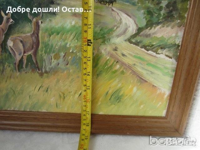 Картини:  Картина морски пейзаж,  с рамка, елени, пейзаж, хижа, 4 броя с диви птици, снимка 11 - Картини - 31809447