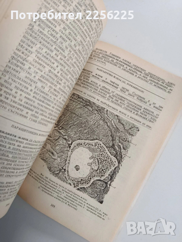 Цитология и хистология, снимка 9 - Специализирана литература - 53564660