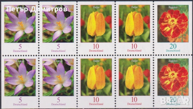 Чисти марки флора Цветя 2005 от Германия, снимка 2 - Филателия - 53943381
