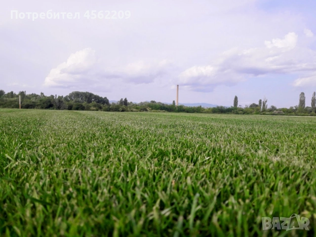 Тревен чим директно от производител, снимка 1