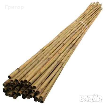 На едро и дребно! Топ цена! Бамбукови колчета! , снимка 4 - Градински цветя и растения - 53680076