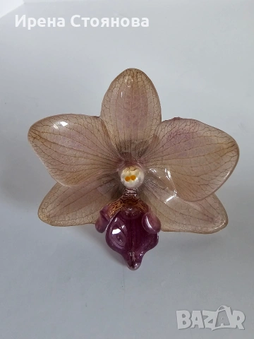🌼"Орхидейна свежест" 🌼„Винтидж пръстен с истинска орхидея в епоксидна смола – уникално ръчно бижу“, снимка 5 - Пръстени - 53870085