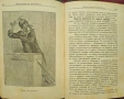 История на Френската революция Никола Станевъ /1900/, снимка 5
