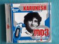 Karunesh 1989-2006(15 albums)(New Age,Ambient)(Формат MP-3), снимка 1