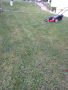 Косене на трева и райграс , снимка 4