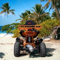 Електрическо ATV MaxMotors Falcon Sport 1500W Orange, снимка 3 - Мотоциклети и мототехника - 45580230