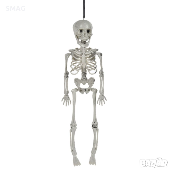 Halloween / Хелоуин реалистичен скелет с подвижна челюст – декорация 40см_1254888, снимка 1