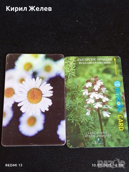 Две фонокарти БЕТКОМ, БУЛ ФОН тема ЦВЕТЯ ОРХИДЕЯ за КОЛЕКЦИЯ ДЕКОРАЦИЯ 42416, снимка 1