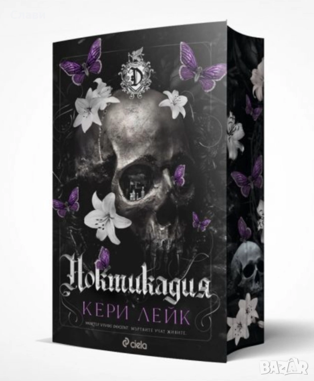 Ноктикадия , снимка 1