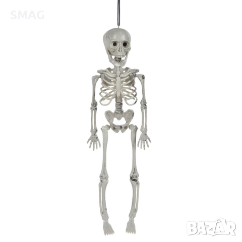 Halloween / Хелоуин реалистичен скелет с подвижна челюст – декорация 40см_1254888
