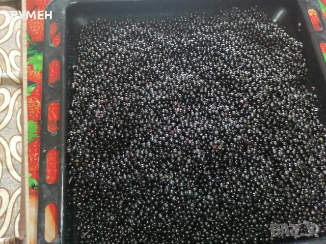 Сироп от бъзак по рецептата на Петър Димков , снимка 3 - Домашни напитки - 53113048