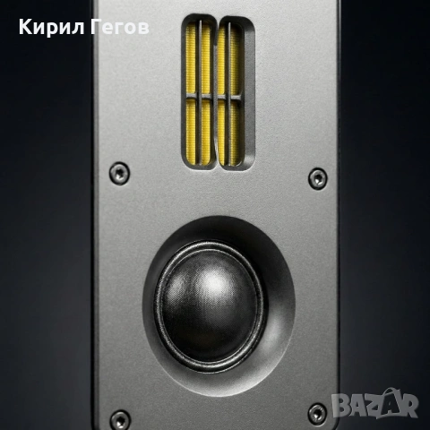 Продавам чифт големи букшелф Dynavoice Definition DM-6, снимка 2 - Тонколони - 53734236