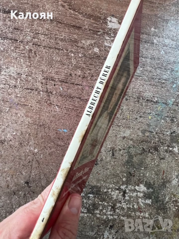 Книга за Албрехт Дюрер - акварели и рисунки на немски , снимка 2 - Специализирана литература - 51009336