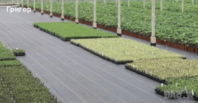 Зебло против плевели! Топ цена!, снимка 8 - Други стоки за дома - 53680413