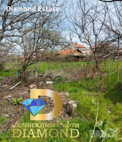 Едноетажна къща в село Войводово, общ. Хасково, снимка 5 - Къщи - 54192368