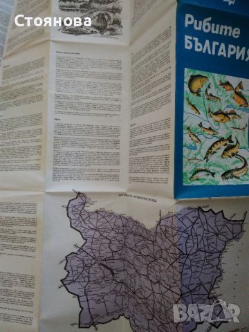 Карти "Рибите в България" и "България защитени природни обекти" , снимка 4 - Енциклопедии, справочници - 45190986