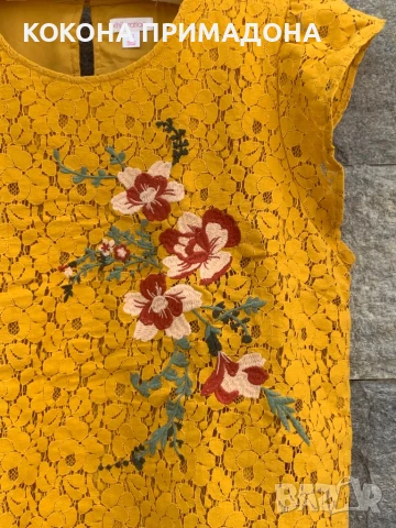 XHILARATION, снимка 3 - Корсети, бюстиета, топове - 51200045