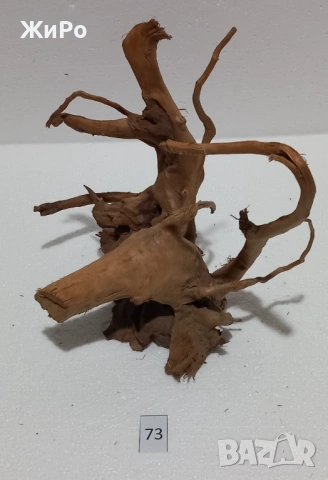 Корен от Азалия /декорация/ 73, снимка 4 - Други - 54102565