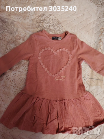 Рокличка Точици