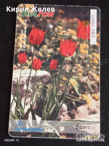 Четири фонокарти БУЛ ФОН тема ЦВЕТЯ редки за КОЛЕКЦИЯ ДЕКОРАЦИЯ 41204, снимка 5 - Други ценни предмети - 51668860