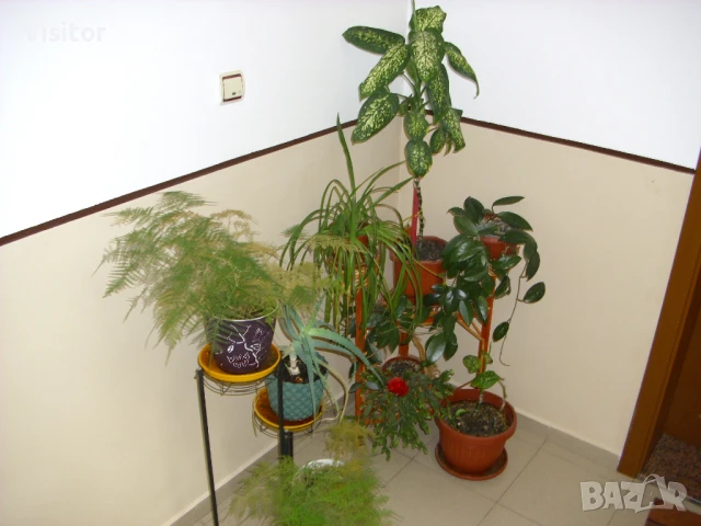 цифров фотоапарат AGFA PHOTO DC - 1033M   10MPx, снимка 13 - Фотоапарати - 51285083